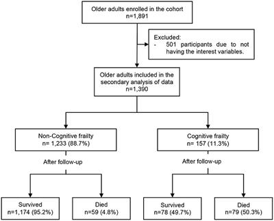 Cognitive Frailty as a Predictor of Mortality in Older Adults: A Longitudinal Study in Peru